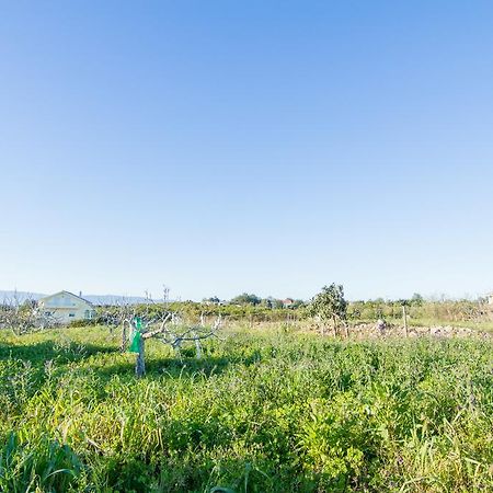 Akivillas Silves Relax エクステリア 写真